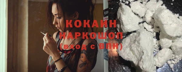 шишки Алзамай