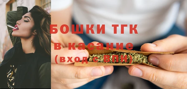 шишки Алзамай