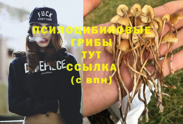 шишки Алзамай