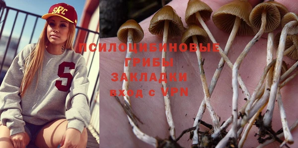 стафф Алексеевка
