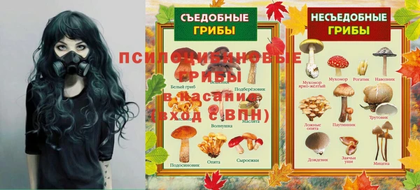 стафф Алексеевка