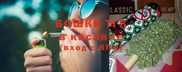 шишки Алзамай
